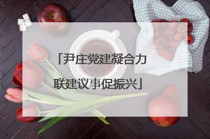 尹庄党建凝合力 联建议事促振兴