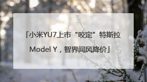小米YU7上市“咬定”特斯拉Model Y，智界闻风降价