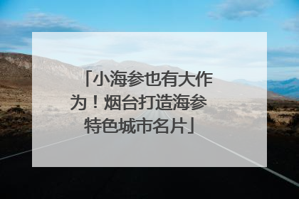 小海参也有大作为！烟台打造海参特色城市名片
