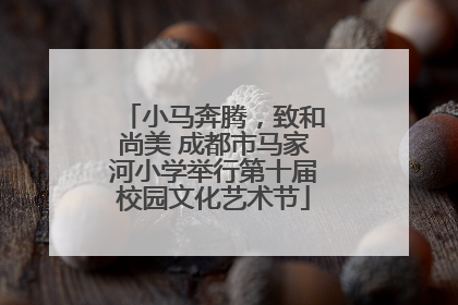 小马奔腾，致和尚美 成都市马家河小学举行第十届校园文化艺术节