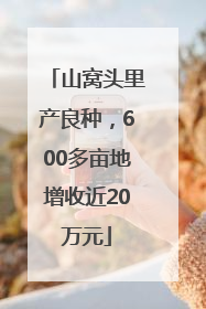 山窝头里产良种，600多亩地增收近20万元