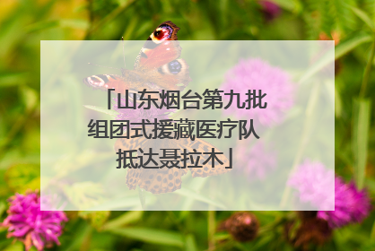 山东烟台第九批组团式援藏医疗队抵达聂拉木