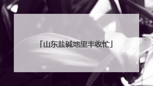 山东盐碱地里丰收忙