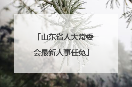 山东省人大常委会最新人事任免
