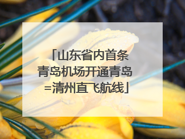 山东省内首条 青岛机场开通青岛=清州直飞航线