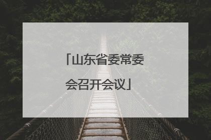 山东省委常委会召开会议