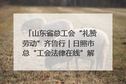 山东省总工会“礼赞劳动”齐鲁行｜日照市总“工会法律在线”解决职工愁“薪”事
