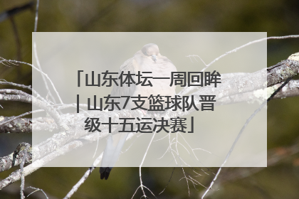 山东体坛一周回眸｜山东7支篮球队晋级十五运决赛