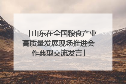 山东在全国粮食产业高质量发展现场推进会作典型交流发言