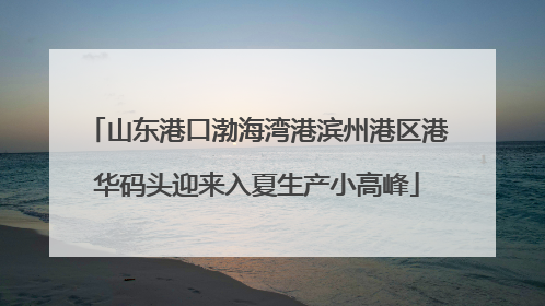 山东港口渤海湾港滨州港区港华码头迎来入夏生产小高峰