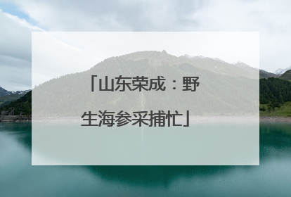 山东荣成：野生海参采捕忙