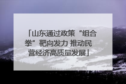 山东通过政策“组合拳”靶向发力 推动民营经济高质量发展