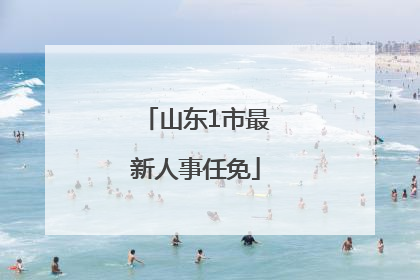 山东1市最新人事任免