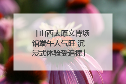 山西太原文博场馆端午人气旺 沉浸式体验受追捧