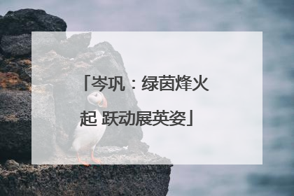 岑巩：绿茵烽火起 跃动展英姿