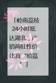 岭南荔枝24小时抵达湖北，产销两旺性价比真“给荔”