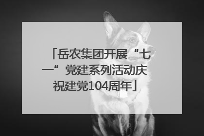 岳农集团开展“七一”党建系列活动庆祝建党104周年