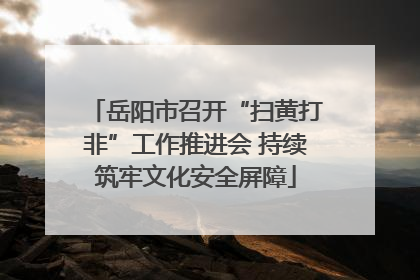岳阳市召开“扫黄打非”工作推进会 持续筑牢文化安全屏障