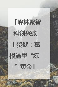 峰林聚智 科创兴张丨贺健：葛根渣里“炼”黄金