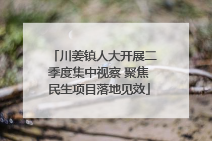 川姜镇人大开展二季度集中视察 聚焦民生项目落地见效