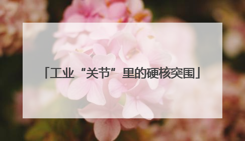 工业“关节”里的硬核突围