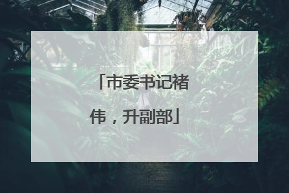市委书记褚伟，升副部