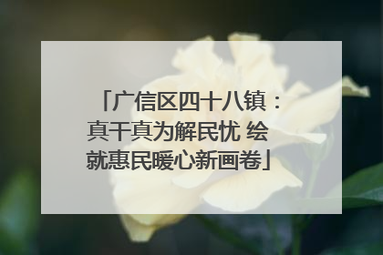 广信区四十八镇：真干真为解民忧 绘就惠民暖心新画卷