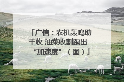 广信：农机轰鸣助丰收 油菜收割跑出“加速度”（图）