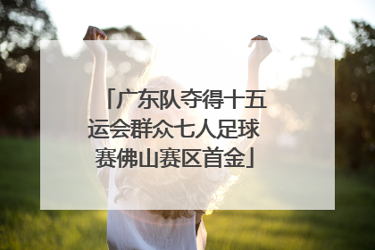 广东队夺得十五运会群众七人足球赛佛山赛区首金