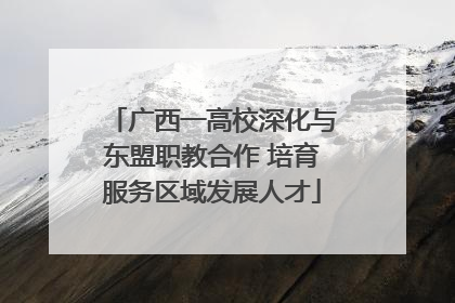 广西一高校深化与东盟职教合作 培育服务区域发展人才