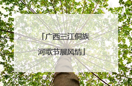 广西三江侗族河歌节展风情