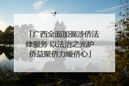 广西全面加强涉侨法律服务 以法治之光护侨益聚侨力暖侨心
