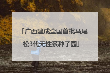 广西建成全国首批马尾松3代无性系种子园