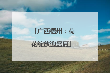 广西梧州：荷花绽放迎盛夏