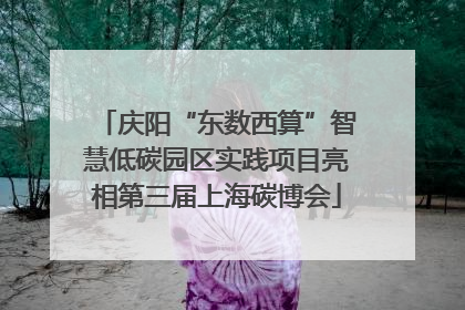 庆阳“东数西算”智慧低碳园区实践项目亮相第三届上海碳博会