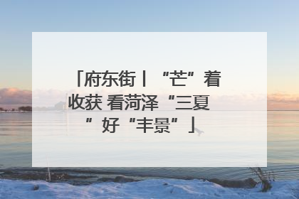府东街丨“芒”着收获 看菏泽“三夏”好“丰景”
