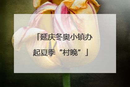 延庆冬奥小镇办起夏季“村晚”