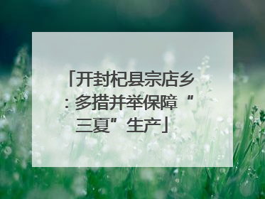 开封杞县宗店乡：多措并举保障“三夏”生产