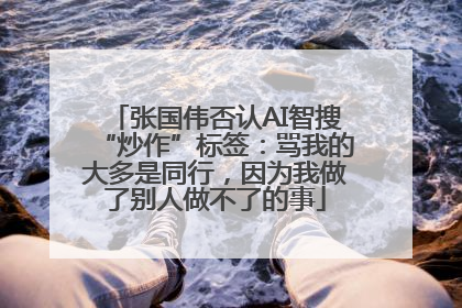张国伟否认AI智搜“炒作”标签：骂我的大多是同行，因为我做了别人做不了的事