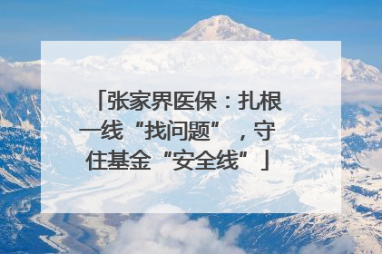 张家界医保：扎根一线“找问题”，守住基金“安全线”