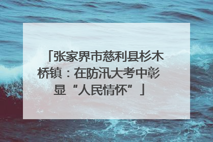 张家界市慈利县杉木桥镇：在防汛大考中彰显“人民情怀”
