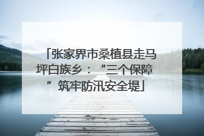 张家界市桑植县走马坪白族乡：“三个保障”筑牢防汛安全堤