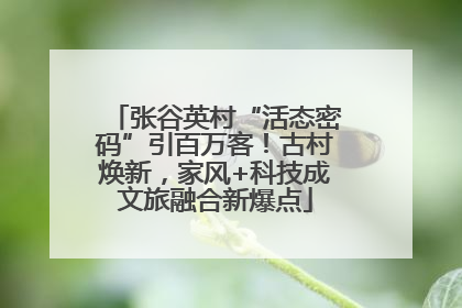 张谷英村“活态密码”引百万客！古村焕新，家风+科技成文旅融合新爆点