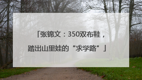 张锦文：350双布鞋，踏出山里娃的“求学路”