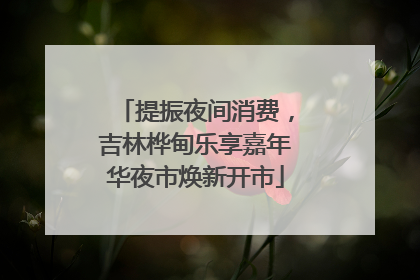 提振夜间消费，吉林桦甸乐享嘉年华夜市焕新开市