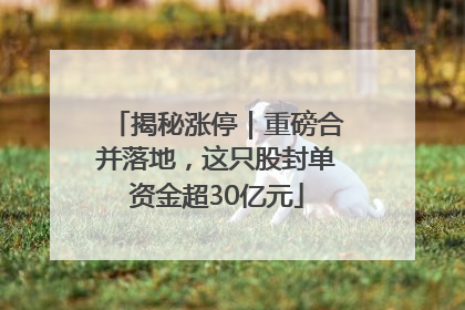 揭秘涨停｜重磅合并落地，这只股封单资金超30亿元
