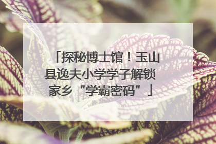 探秘博士馆！玉山县逸夫小学学子解锁家乡“学霸密码”