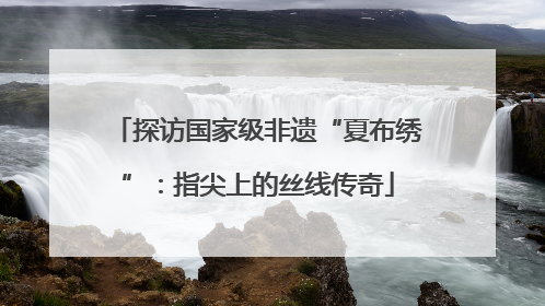 探访国家级非遗“夏布绣”：指尖上的丝线传奇