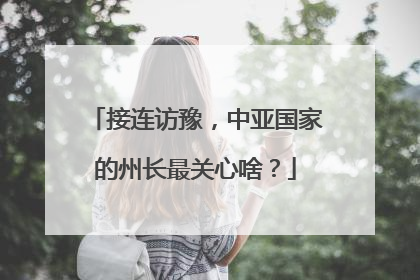 接连访豫，中亚国家的州长最关心啥？