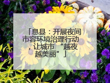 息县：开展夜间市容环境治理行动，让城市 “越夜越美丽”